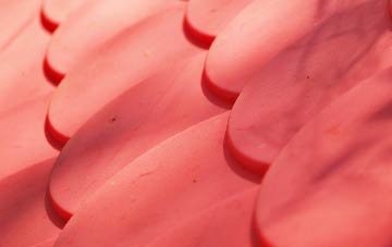 Ballynaskeagh plastic roof costs