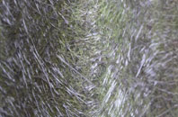 Ballynaskeagh fibreglass roof work